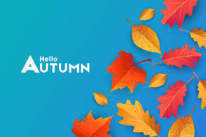 Fall Affiliate Marketing